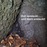 versteck-entdeckt